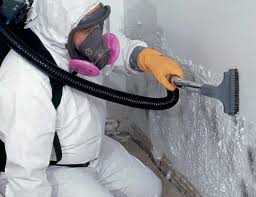 Best Mold Remediation for Healthcare Facilities  in Greenwood Lake, NY